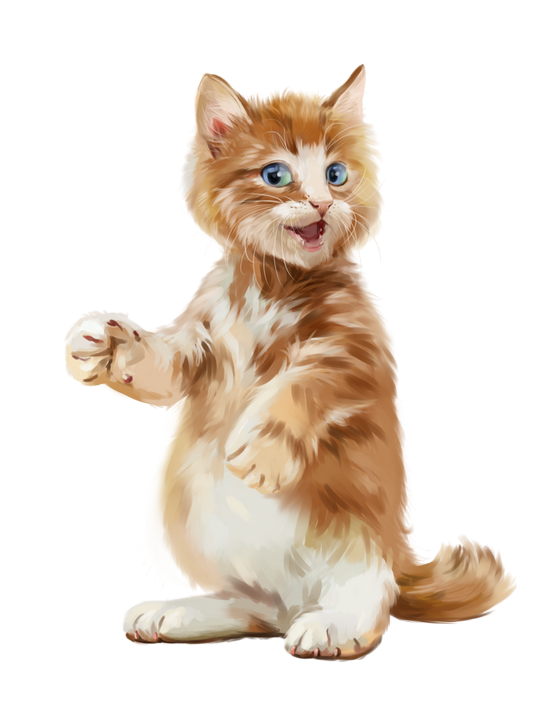 chatons chats minou matou felin tube dessin png zezete2 centerblog