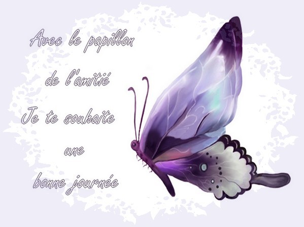 amitie,citations