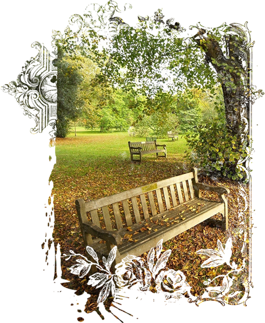 automnes,autumn,outono