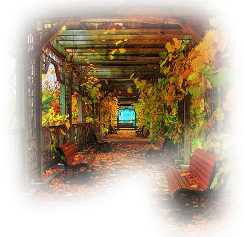 automnes,autumn,outono