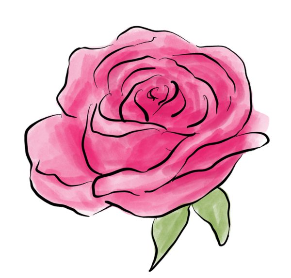 roses,pink,roze,rosa,fleur