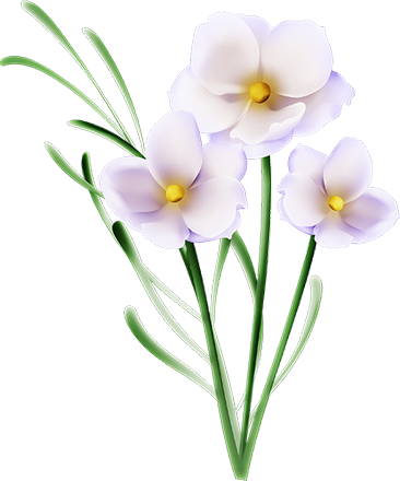 tubes fleurs,png fleurs,bouquets de fleurs,flowers,psp