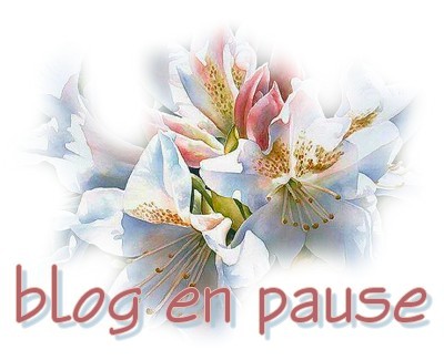blog en pause