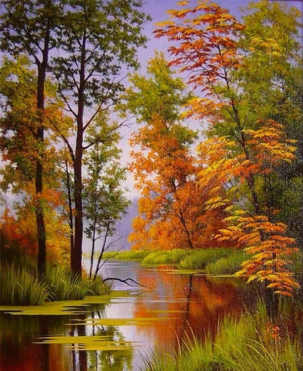 automne,autumn,paysage,