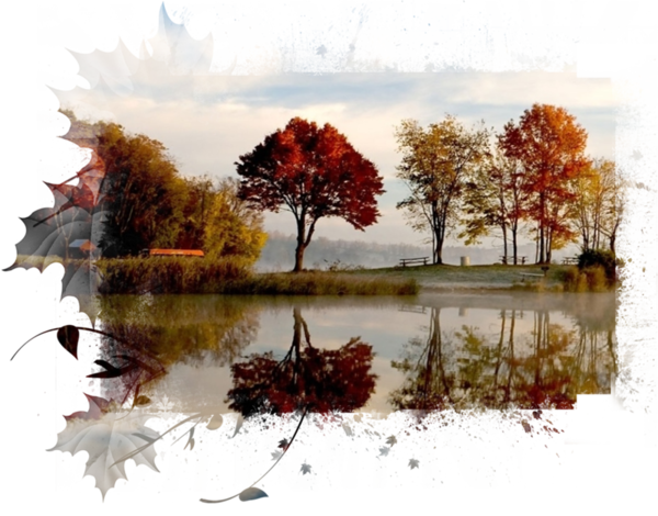 automne,autumn,paysage,