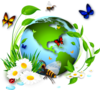Planete