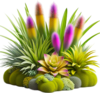 Fleur,ai,png flowers,bouquets,illustrati on,art,psp 