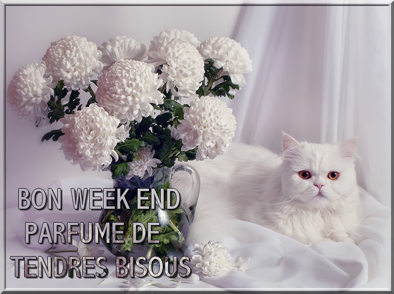 Image du Blog zezete2.centerblog.net