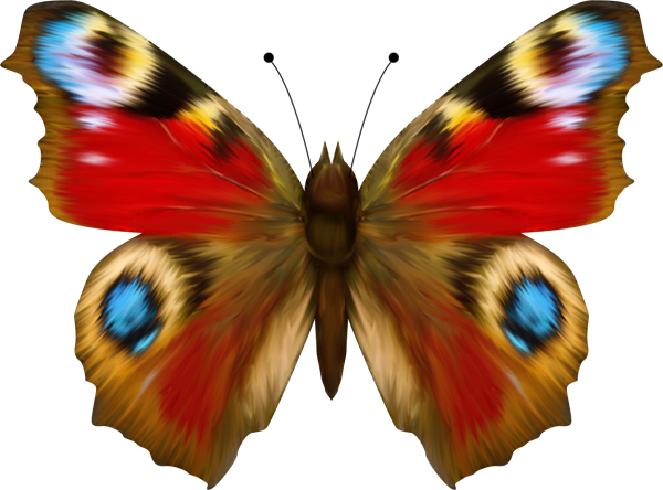 Papillons,png,butterfly,tubes,BORBOLETA,MARIPOSA,