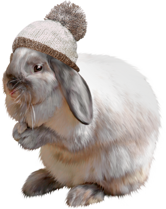 Lapin,rabbit,tubes,png