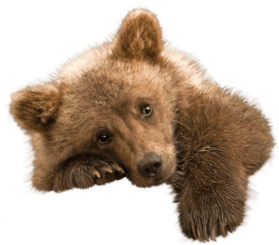 Tubes Animaux clipart vector png Animaux psp