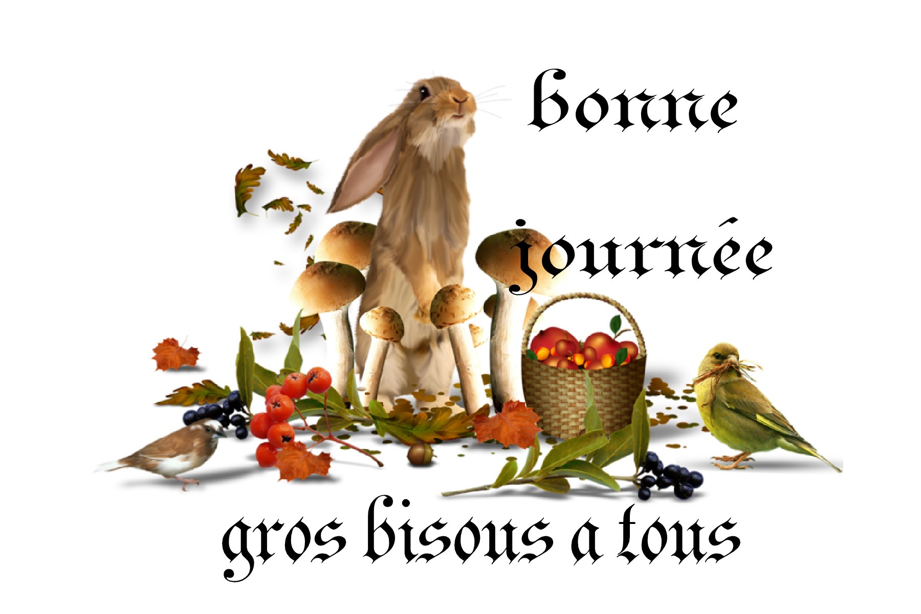 bonne-journee-mes-ami-e-s