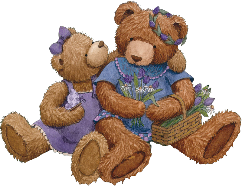 Peluches Oursons Nounours