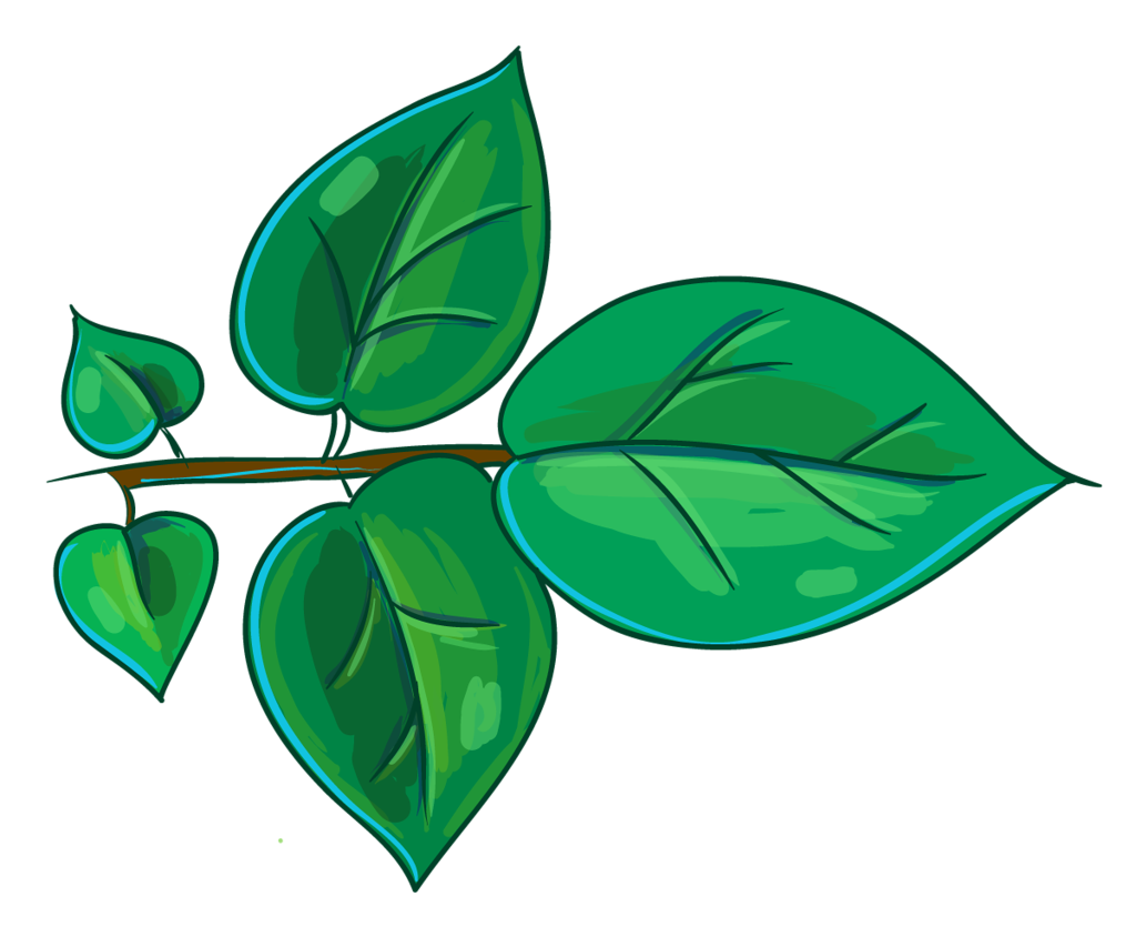 Feuilles png Feuilles png