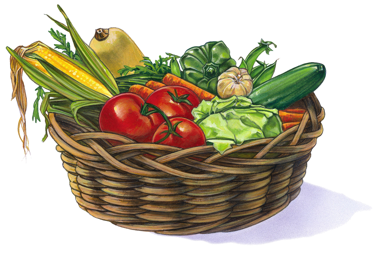 clipart fruits et légumes - photo #23