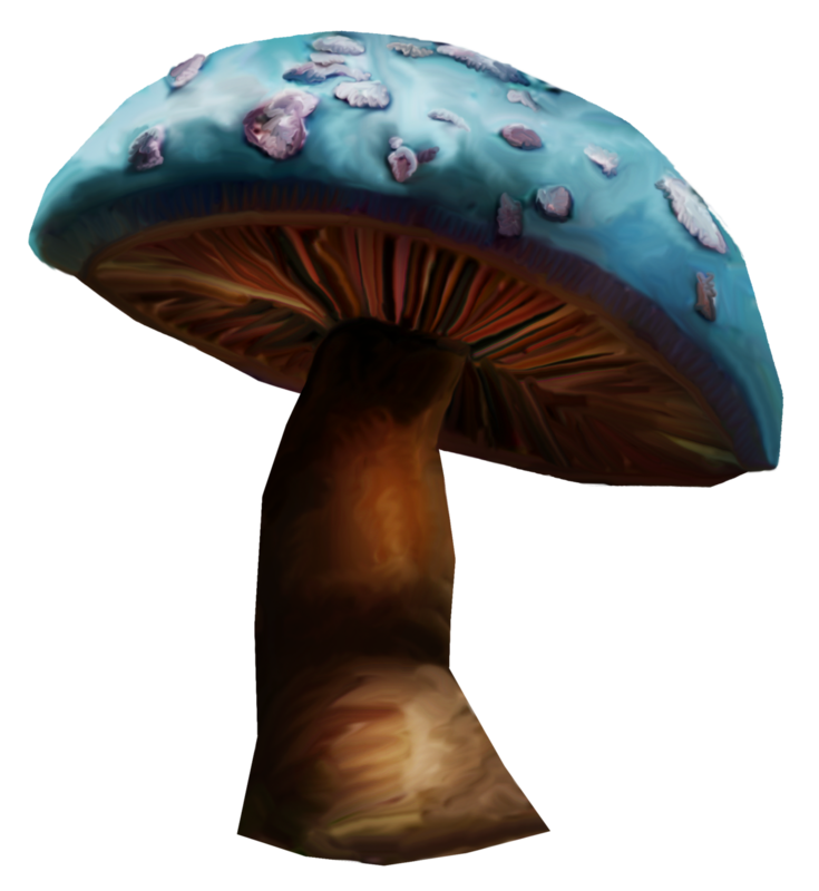 champignons,mushroom,Pilz,seta,cogumelo