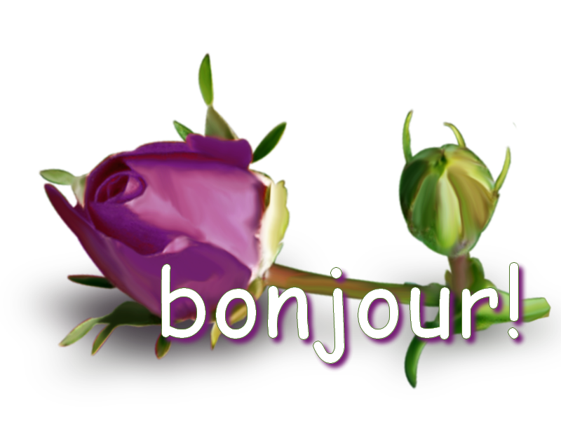 bonjour