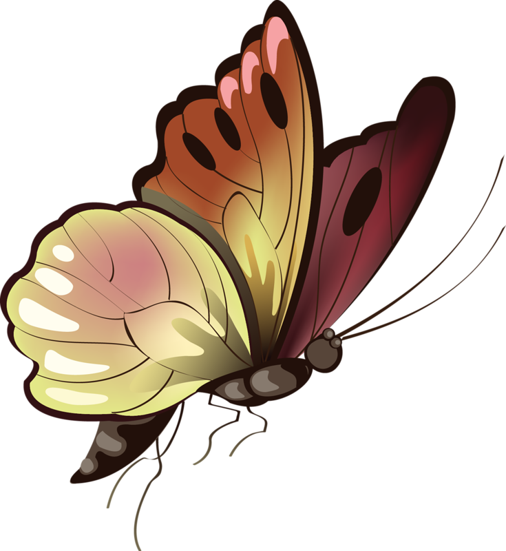 Papillons,png,butterfly,tubes,BORBOLETA,MARIPOSA,