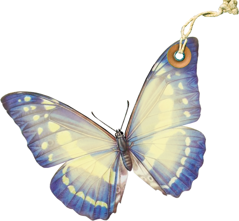 Papillons,png,butterfly,tubes,BORBOLETA,MARIPOSA,