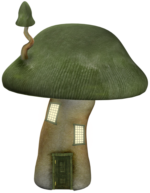 mushroom tube mushroom tube
