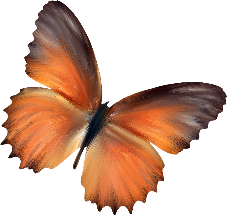 Papillons,png,butterfly,tubes,BORBOLETA,MARIPOSA,