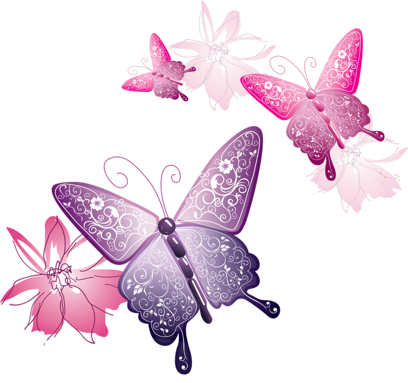 free butterfly clipart png - photo #21