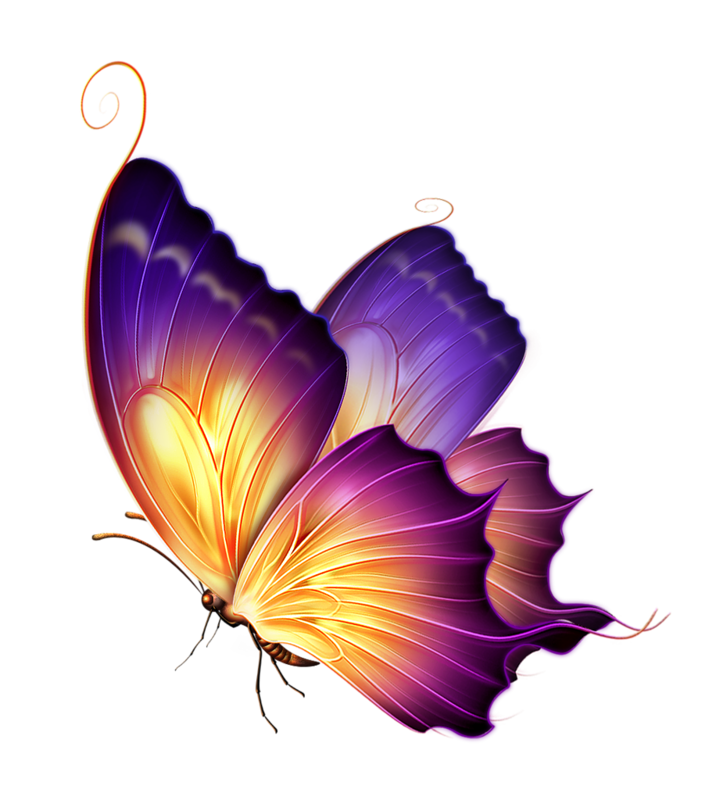 Papillons,png,butterfly,tubes,BORBOLETA,MARIPOSA,