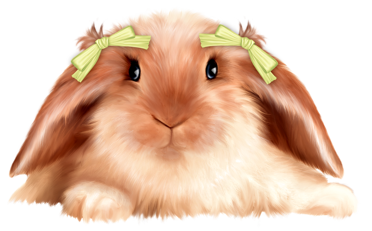 Lapin,rabbit,tubes,png