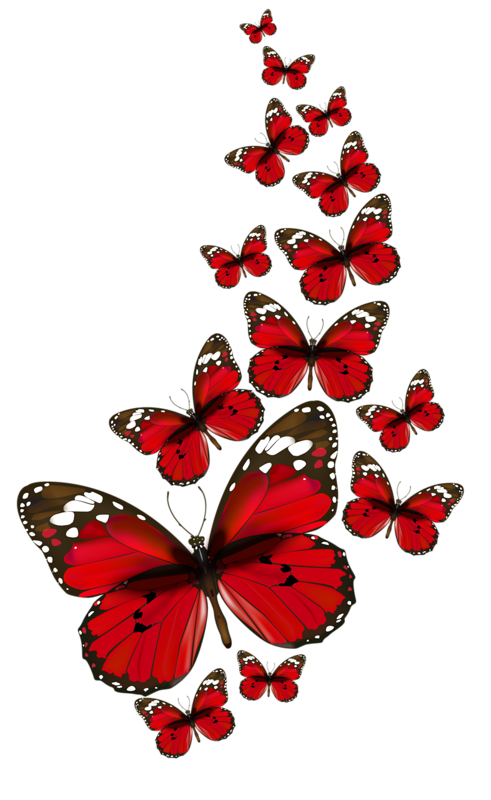 Papillons,png,butterfly,tubes,BORBOLETA,MARIPOSA,