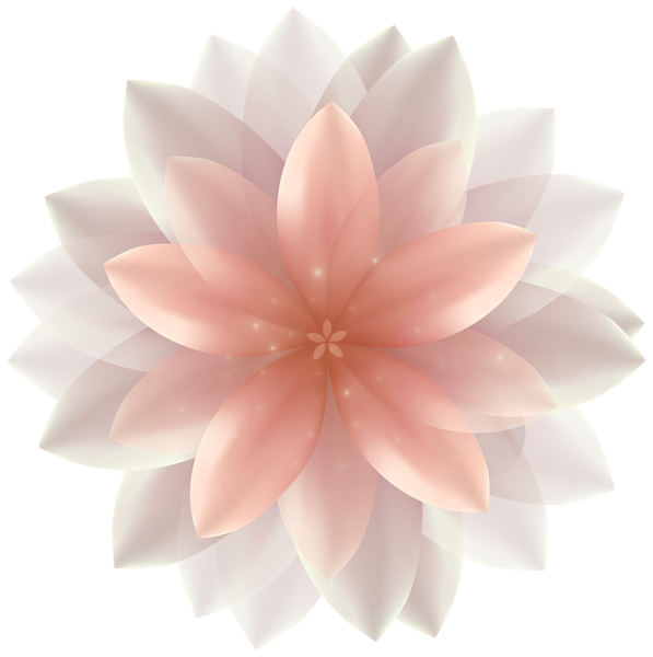 fleurs,flores,flowers,bloemen,png