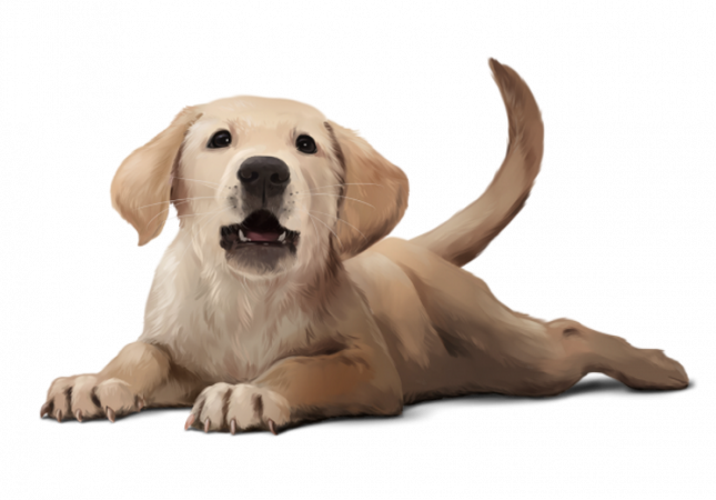 tubes chiens png chiens dog puppies wallpapers dessin psp zezete2 centerblog