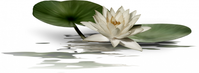 wwwwwwwwwwwfdsssss_1