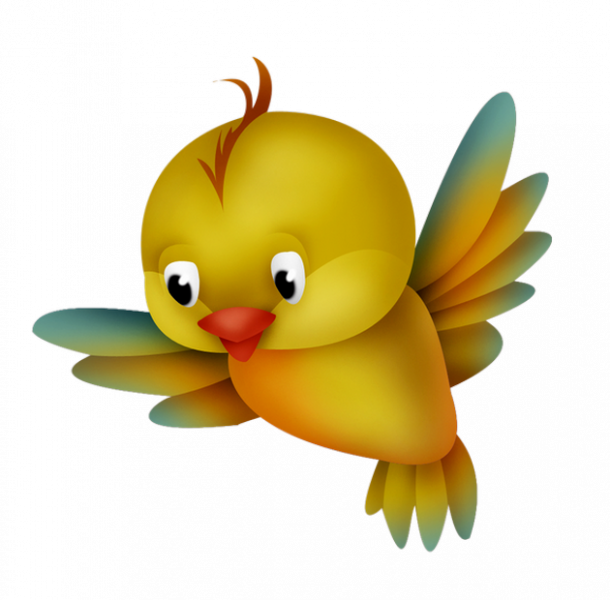 oiseau clipart free